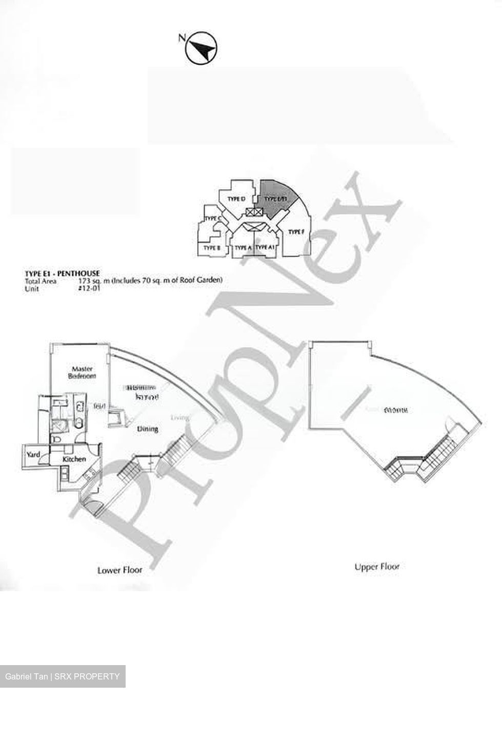 Kim Seng Promenade (D9), Condominium #546415141